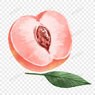 WWW,se289·COM网站APPAPP应用