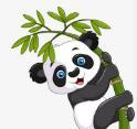 9.1免费版安装APP应用
