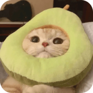 麻豆传媒下载